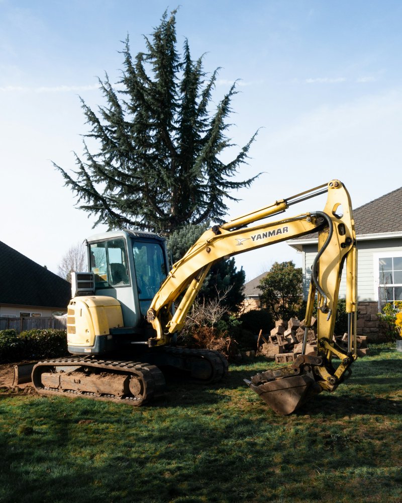 Yanmar mini-excavator parked on a residential lawn beside a single-family home with gray siding under a clear blue sky — the size of machine a plumber rolls in for a spot dig-and-couple sewer repair on a private lot