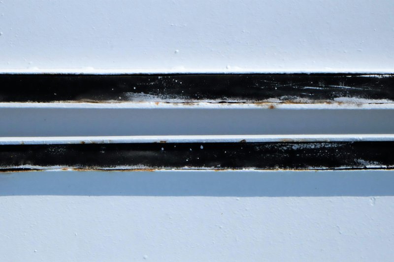 Close-up of weathered white panels with thick black mold and rust streaks in the gaps between them