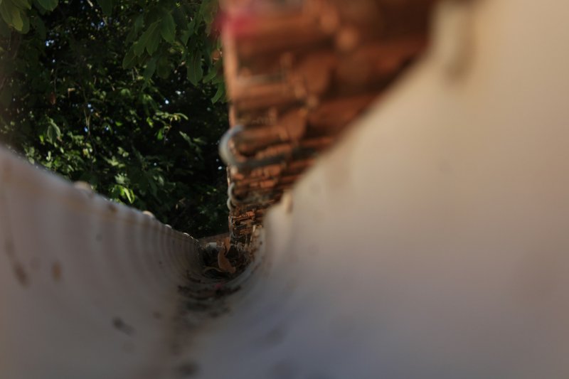 White gutter packed with dried leaves and debris against a brick wall