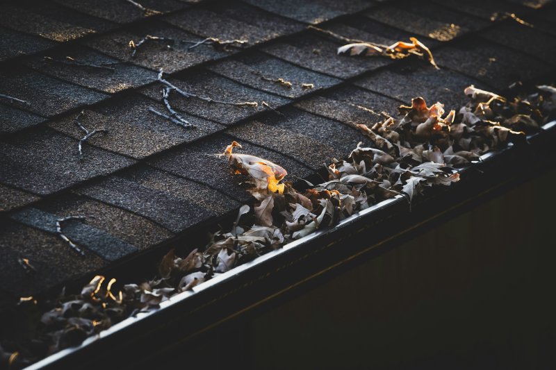 Dry leaves and twigs packed into a black gutter on a dark asphalt-shingle roof