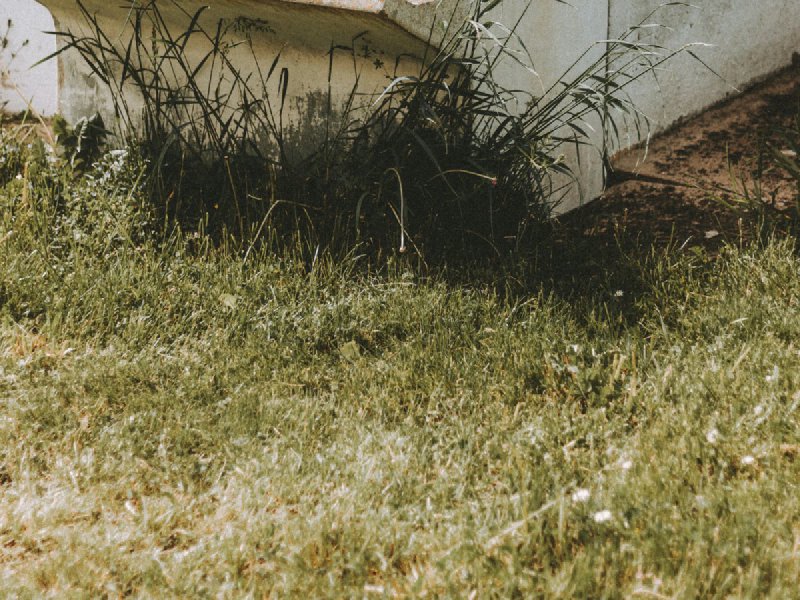Weathered white rain gutter and downspout attached to a stucco house wall, with rust and visible neglect