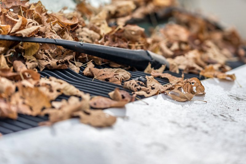 Dry brown autumn leaves piled on a black rain gutter