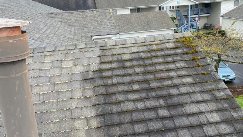 Aging gray asphalt shingle roof with moss along the seams and a chimney